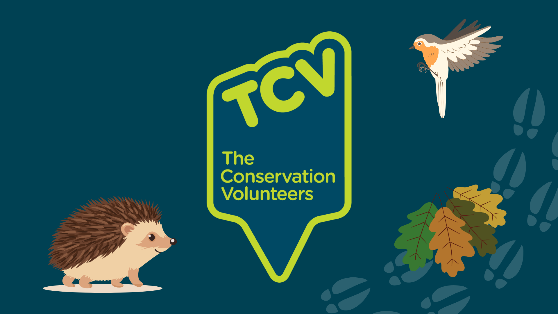 TCV logo surrounded by a hedgehog, robin, leaves and animal tracks