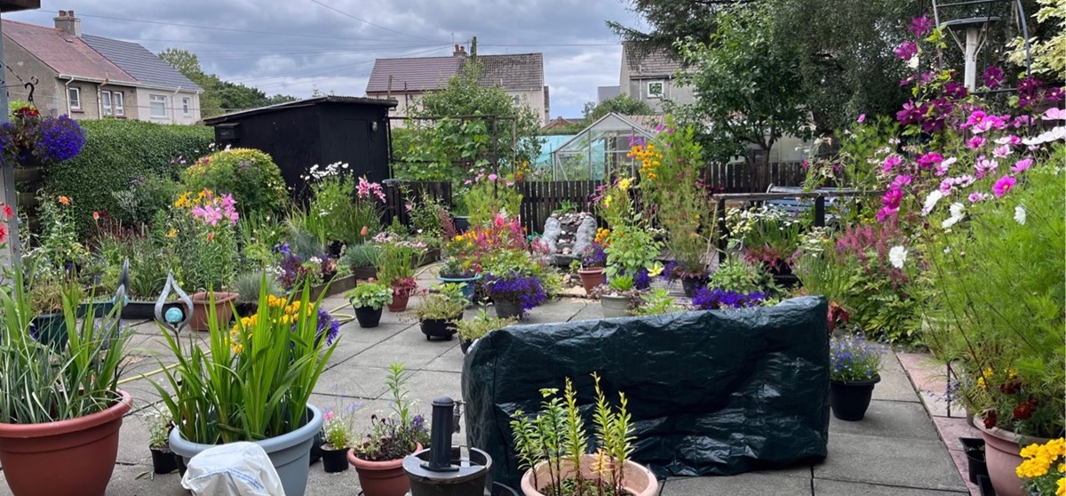 A beautiful garden, complete with colourful flowers, small trees and bushes.